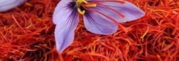 راه&zwnj;اندازی قرارداد جدید زعفران از روز سه&zwnj;شنبه