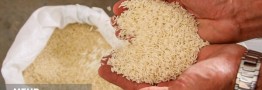 دپوی بلاتکلیف برنج وارداتی برای ذخایر استراتژیک در گمرک