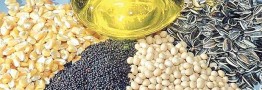 ثبت سفارش دانه&zwnj;های روغنی آغاز شد