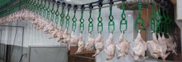 هر کیلو گرم گوشت مرغ ۱۶۸ هزار تومان شد+جدول قیمت کالاهای اساسی