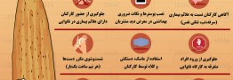هشدار؛ خطر انتقال کرونا از طریق نان جدی است