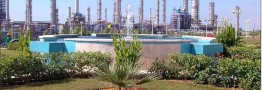حمایت صنعت پتروشیمی از توسعه فضای سبز کشور