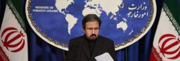قاسمی&zwnj;ضمن&zwnj;محکومیت قتل یک ایرانی توسط پلیس کانادا: در حال پیگیری موضوع و توضیح دولت کانادا هستیم