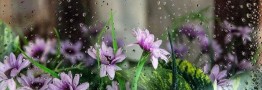 ورود موج جدید بارشی به کشور از پنجشنبه