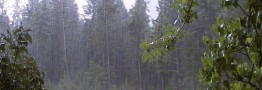 بارش&zwnj;ها در جنوب و جنوب غرب کشور شدت می&zwnj;یابد