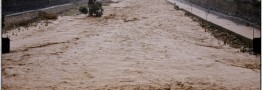 سیل، شیراز را فرا گرفت